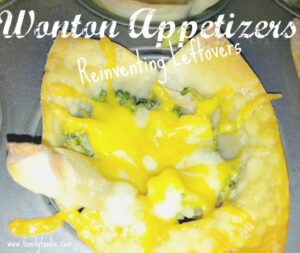 Wonton Appetizers