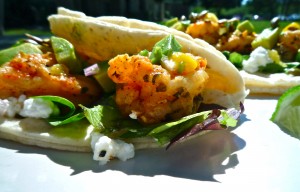 Shrimp Tacos
