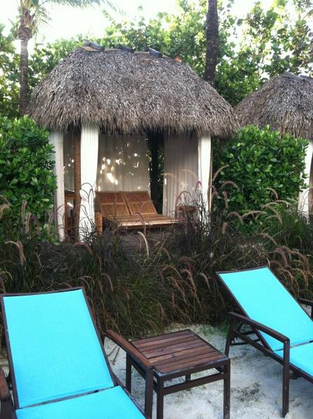 My office at the Palms Hotel and Spa Miami 