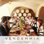 Time Around the Family Table Outdoors #vendemmia