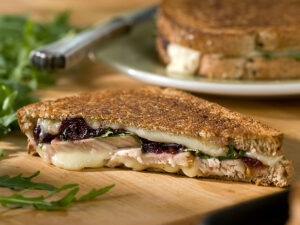 Turkey Cranberry and Fontina Cheese Panini