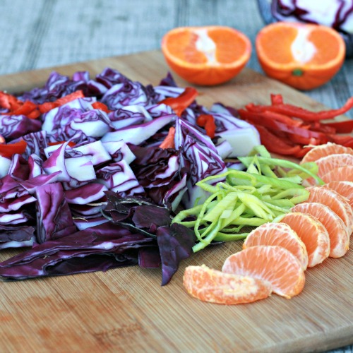 Red Cabbage Citrus Salad 2
