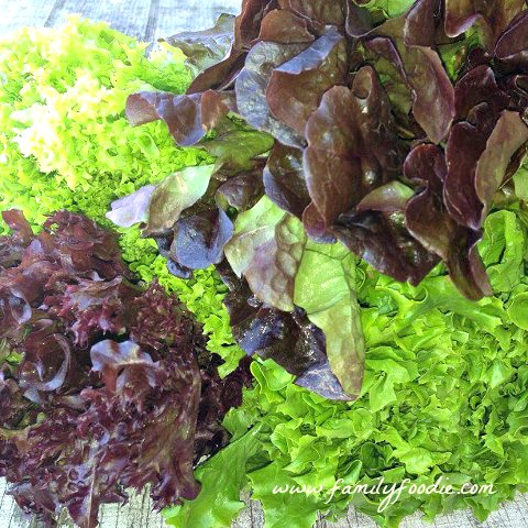 artisan lettuce