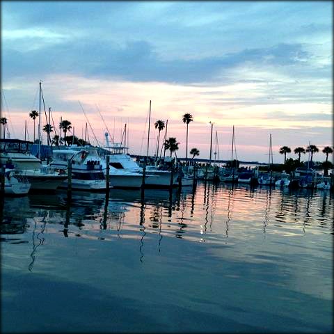 dunedin marina sunset in florida 