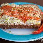 Turkey Alfalfa Healthy Sandwich