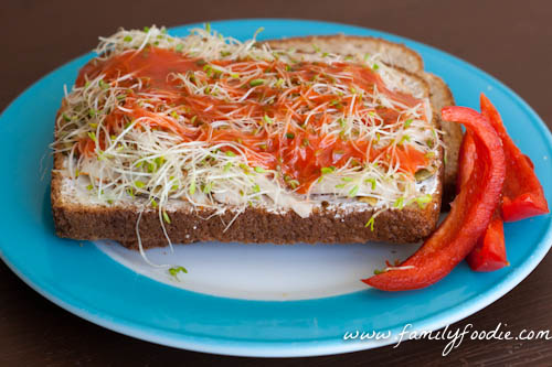 Turkey Alfalfa Healthy Sandwich