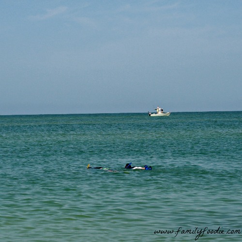 Snorkeling fun 