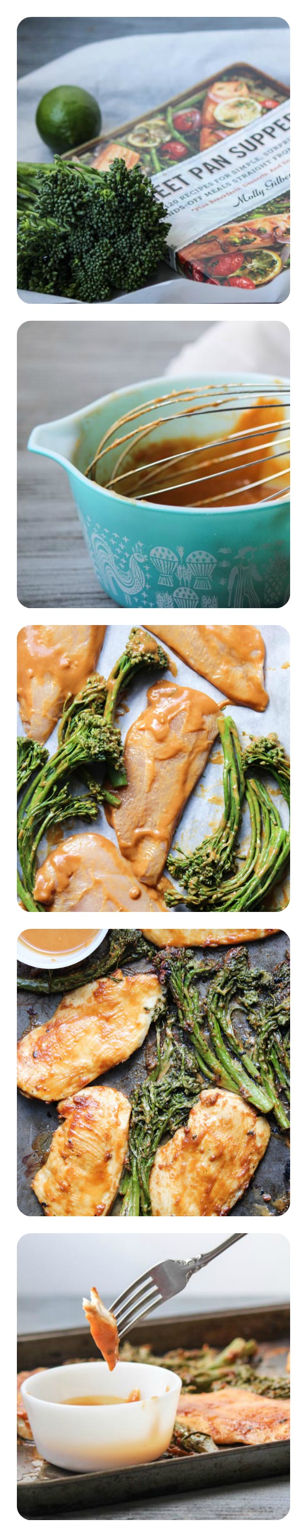 Quick Chicken and Broccoli with spicy peanut sauce 