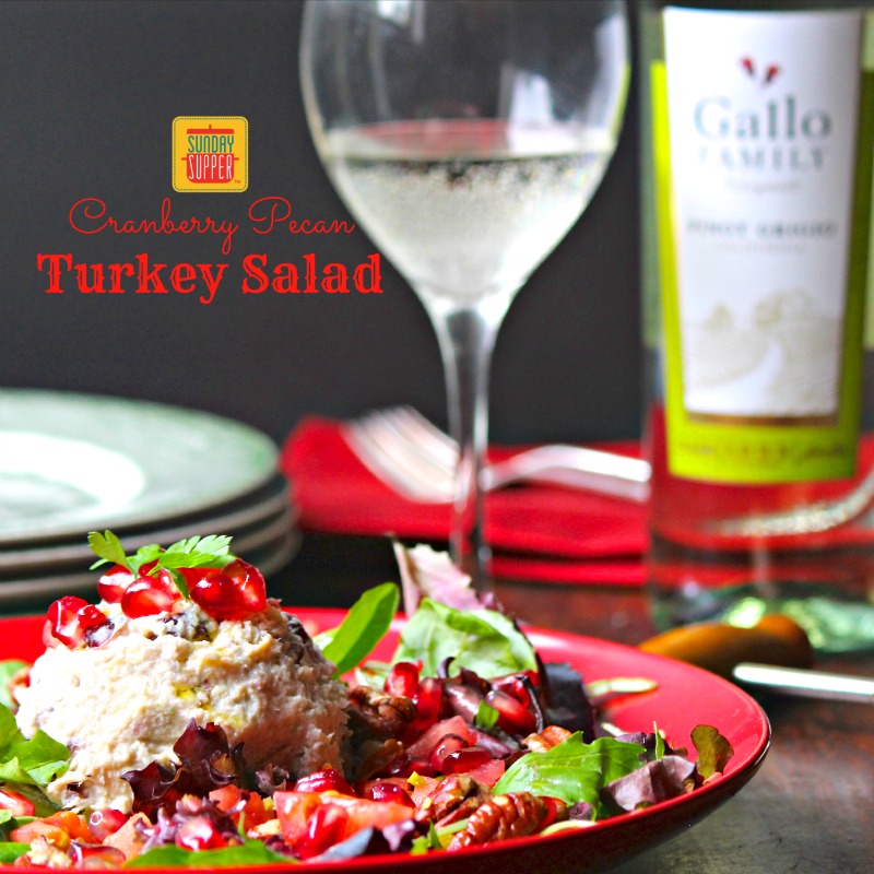 Cranberry Pecan Turkey Salad 