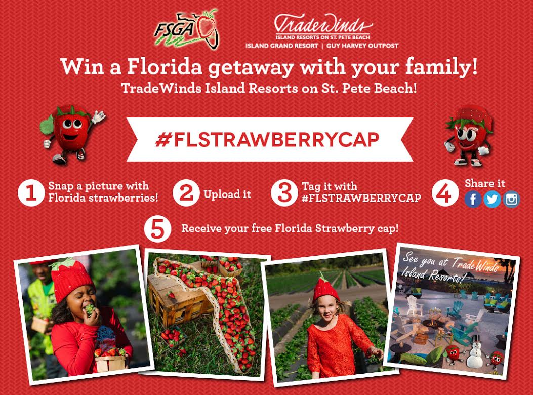 Florida Strawberry Contest 