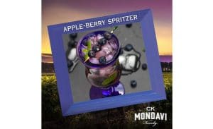 Apple Berry Spritzer